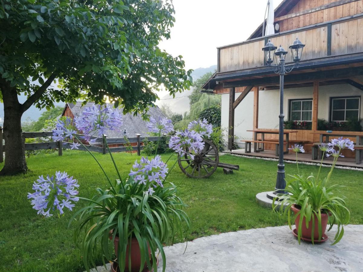 Ortnerhof Ennstal 3*