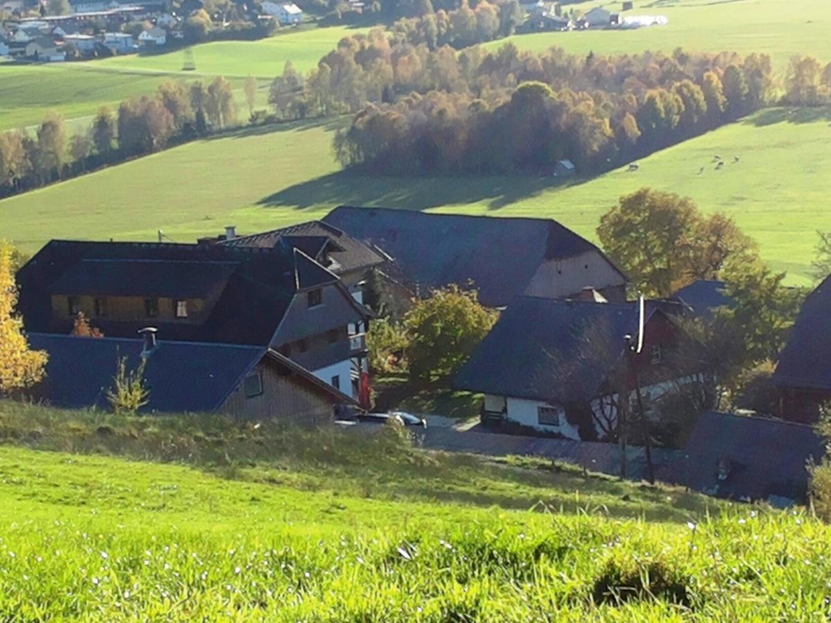 Ortnerhof Ennstal 3*